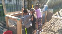 Students mixing compost in a garden