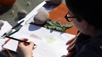 Student completing a science drawing assignment outside