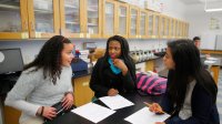 High school students work in a group in science class