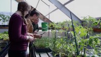 Students are working on their plants and being supervised by their teacher in the glasshouse.