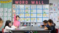 Girl raises her hand in her elementary class