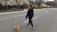 Teenage girl walks dog across empty city street. 