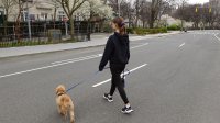 Teenage girl walks dog across empty city street.