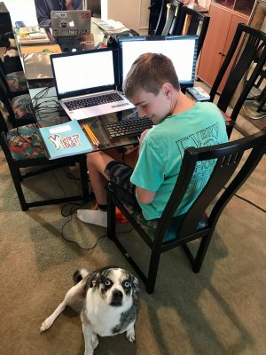 A student sits with his dog during remote learning.