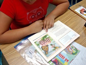 A student works on an activity in Spanish at Bethesda Elementary School in Georgia.