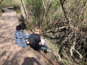 Two high school students making scientific observations during outdoor activity