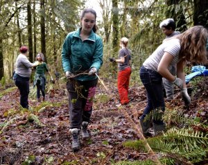 Students doing fieldwork in a forest