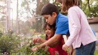 Elementary school children in garden