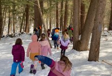 Elementary students walking through snowy woods