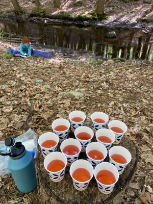 Tray with drinks sits on the ground by a stream