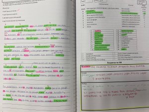 Díaz inset reflection example