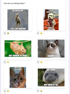 Eighth-grade teacher Laura Bradley created this Google Form to see if her students needed emotional support.