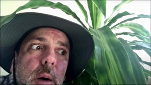 John Thomas, a first- and second-grade teacher, is hiding from an animal chasing him in the jungle for his recorded morning meeting.