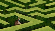 An illustration concept of student navigating a daunting maze