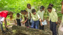 Fifth grade students observe nature during a field trip