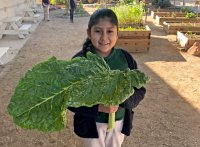 Student holding vegetables in a school garden