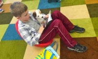 Student reading a book in a flexible seating environment