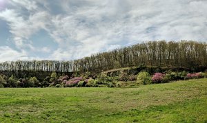 Landscape shot of Boyd County, Kentucky.