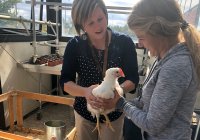 A teacher and a high school student gently holding a chicken