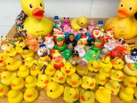 Teacher's collection of rubber duck toys
