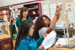 A physiology teacher shows students how to create a clay model of the endocrine system.