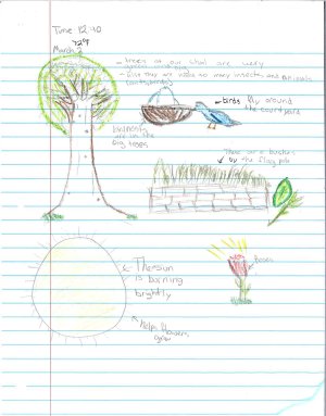 Nature drawing by the author's student. Drawing is of a tree, bird, flower, sun, and bushes.
