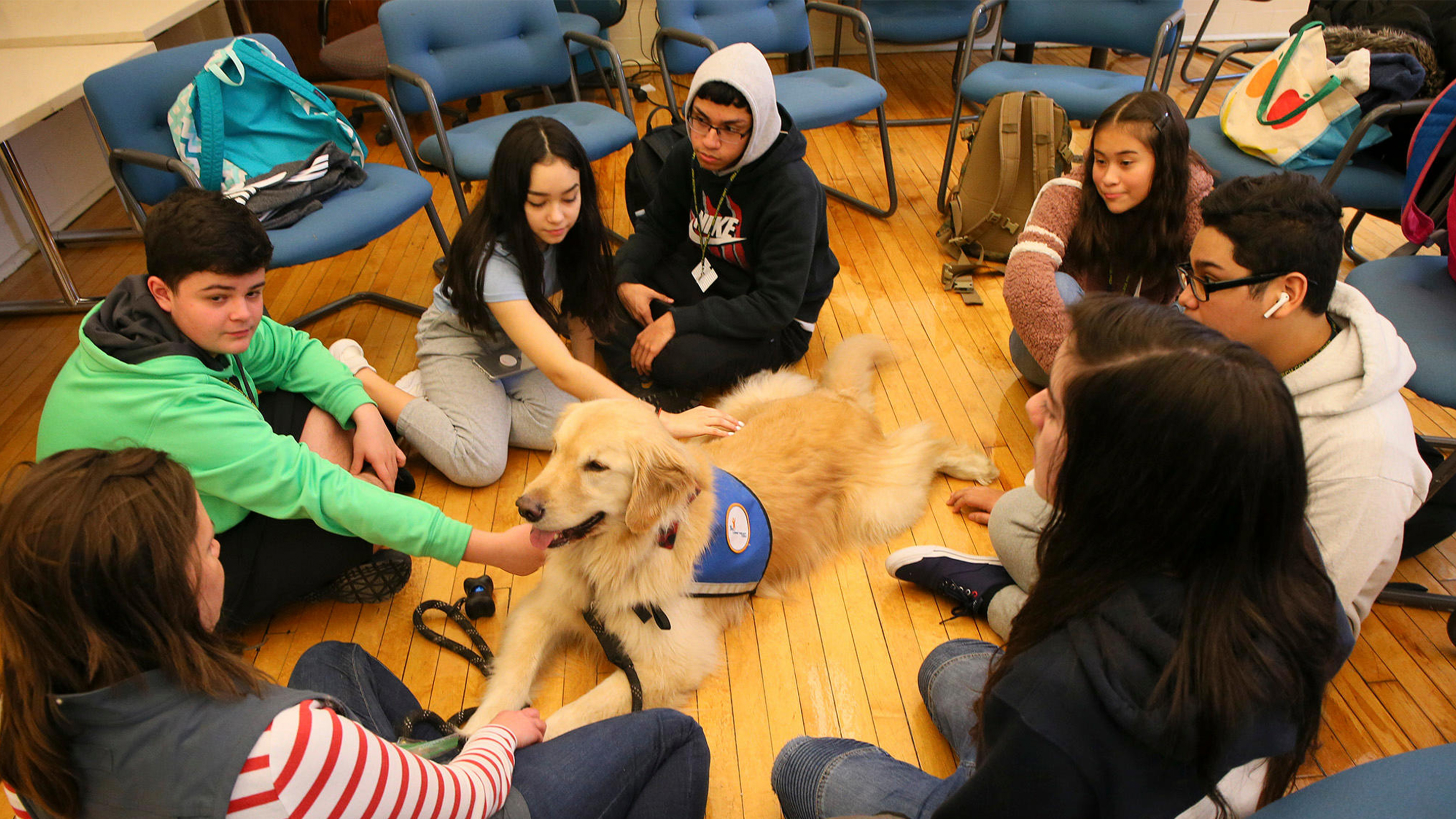 3 Benefits of Having a Comfort Dog in School | Edutopia