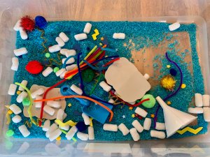 A bin of sensory objects and rice.