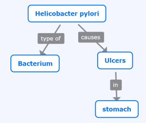 An example of a concept map that shows the relationship between different concepts. For example 'Heliobacter pylori' and 'Bacterium' are connected by the word 'type of'.