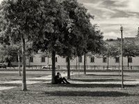 A young man is sitting against a tree with his head buried in his hands.