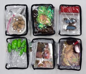 Six plastic wrapped specimens
