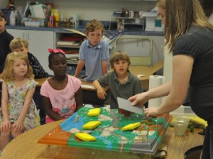 Teacher explaining the value of wetlands