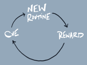 cue-new routine-reward graph