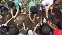 A picture of children planting vegetables in a garden.