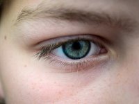 A closeup on someone's eye. Their eye is green and blue. Their eyebrows and eyelashes are dark blond.