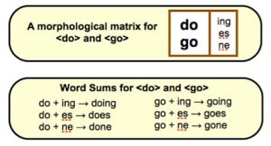 A table of the morphological matrix of the words 'do' and 'go.'