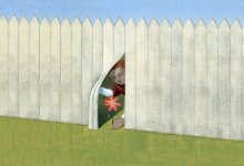 Boy finding flower through a fence