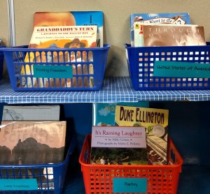 A classroom library consisting of baskets full of books sorted by genre