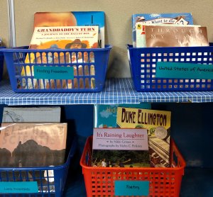A classroom library consisting of baskets full of books sorted by genre