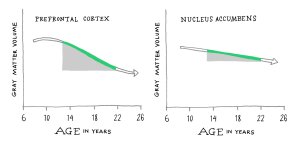 Chart showing gray matter growth comparison in teenagers