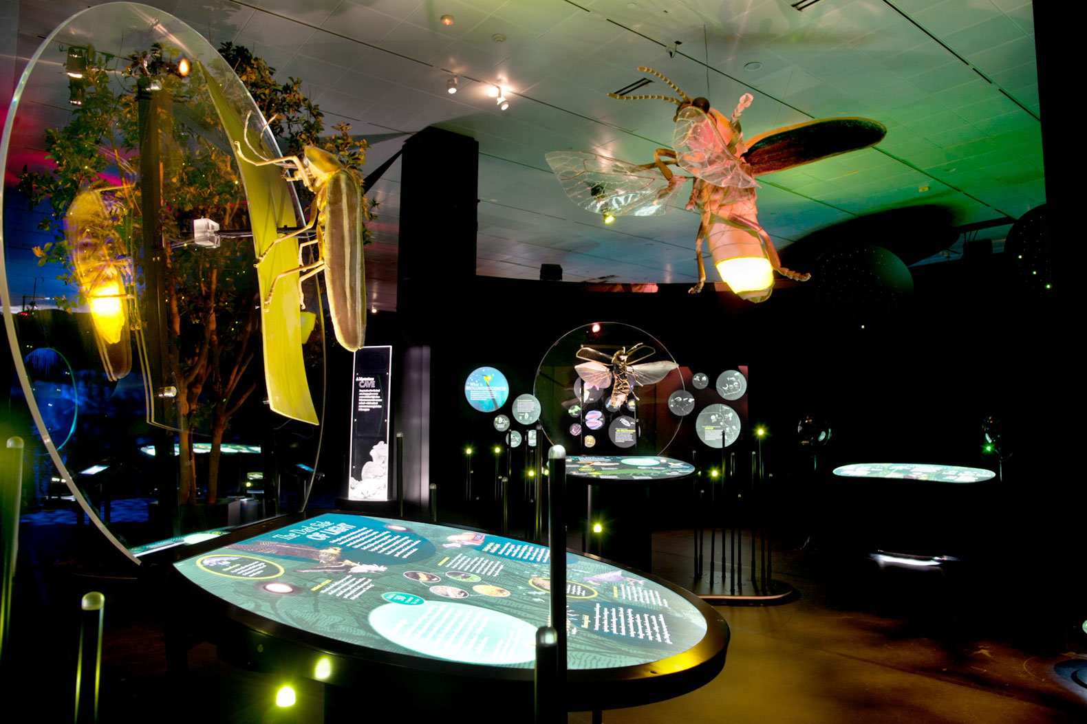 Photos A Look Inside the Grand Rapids Museum School Edutopia