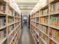 Higher ed library stacks