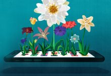 Illustration of iPhone blooming from apps
