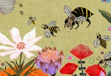 bees, flowers