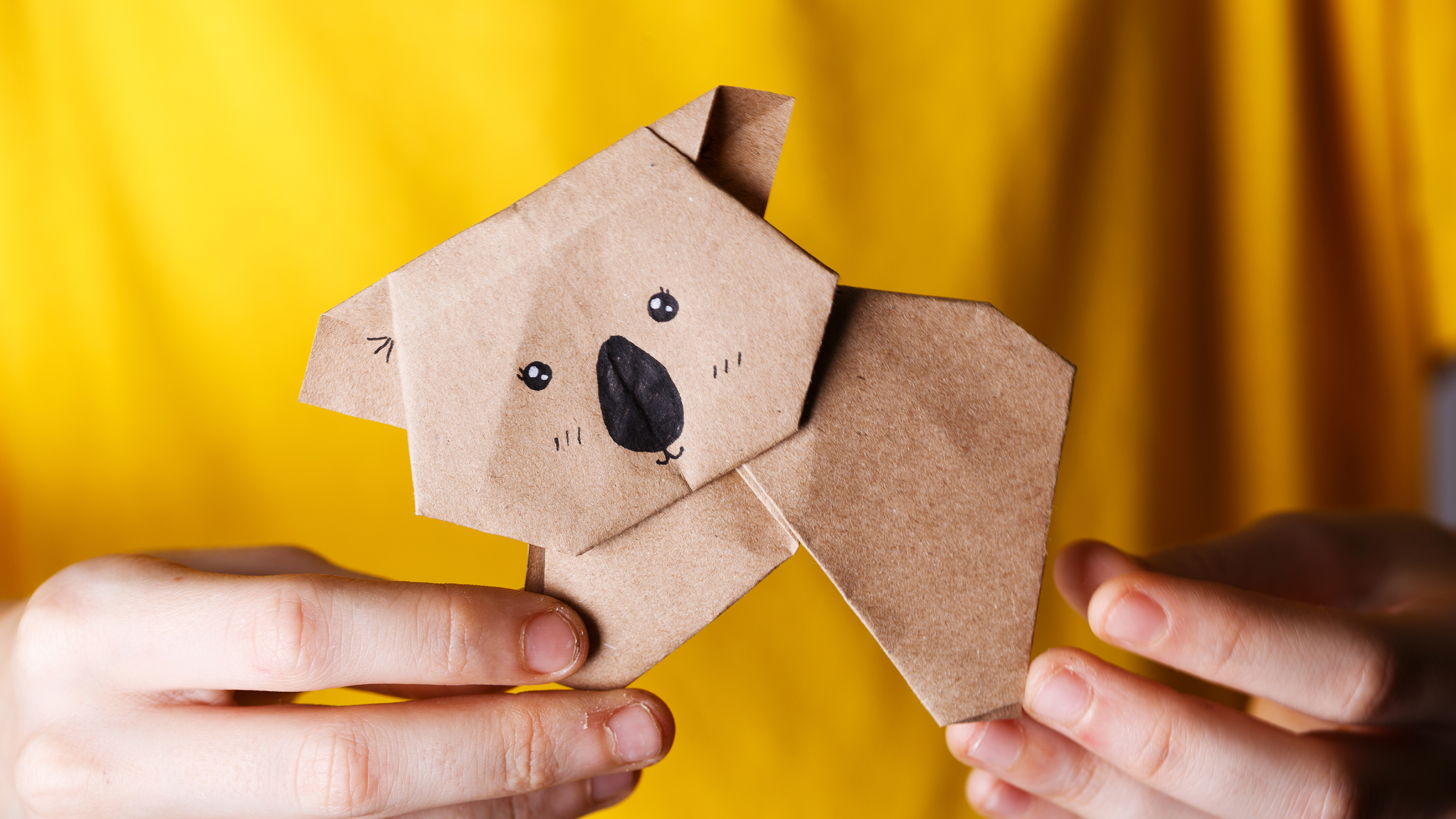 Using Origami to Teach Elementary Students About Endangered Animals |  Edutopia