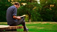 Man reading a book while sitting on a park bench