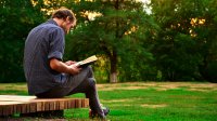 Man reading a book while sitting on a park bench