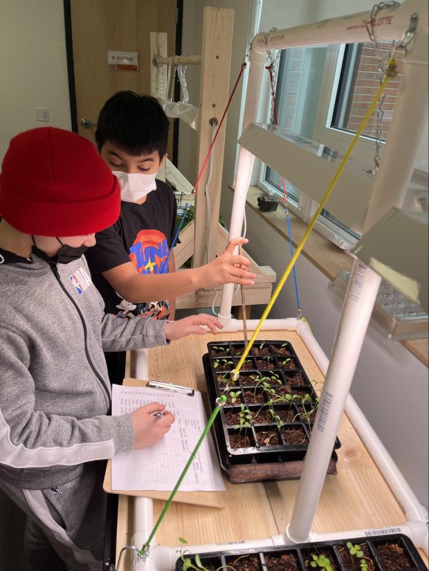 Using Culturally Responsive Project-Based Learning to Teach Core Skills ...