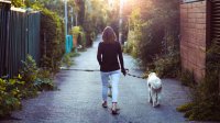 Woman walks dog down alley