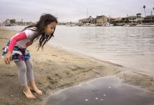 Girl looking into puddle on beach 